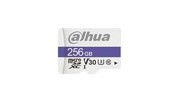Dahua Memory Card TF-C100/256GB