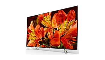 Sony Monitor FW-49XЕ8001 55 ” LED 4K professional HDR color monitor