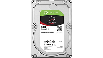 Seagate Ironwolf 6TB ST6000VN001