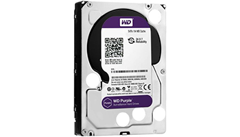 Western Digital Purple 1TB  WD10PURZ
