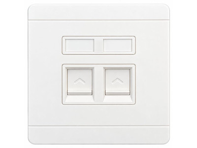 Security Professionals TR-FP150 Wall outlet 86x86mm, 2 ports, flush-mount