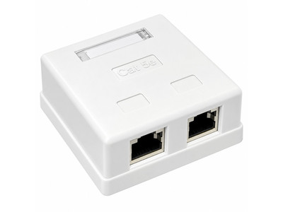 Security Professionals PBHB04 Socket 2 ports, loaded Cat5e, FTP, pov. assembly 