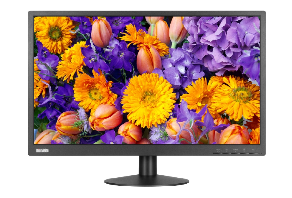 Lenovo ThinkVision E24-10 23.8" Wide FHD IPS 16:9 1920x1080 6 ms 250 nits 1000:1 DP VGA Tilt D-Sub