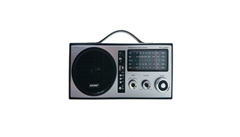 Portable Radio RS-2006BT