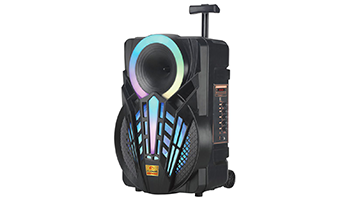 Portable Speaker EK-P12 – 12” high fidelity speakers 3800158150025