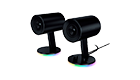 RAZER RZ05-02460100-R3G1 gaming speakers for PC