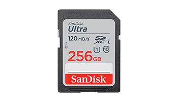 SANDISK SDSDUN4-256G-GN6IN 256GB SDXC Memory Card