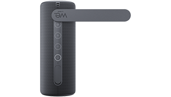 WE BY LOEWE 60701D10 Portable Speaker 40W, Storm Grey