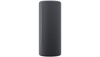 WE BY LOEWE 60702D10 Portable Speaker 60W, Storm Grey
