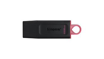 KINGSTON DTX/256GB DataTraveler Exodia 256GB USB3.2 Gen1 DataTraveler Exodia (Black + Pink)